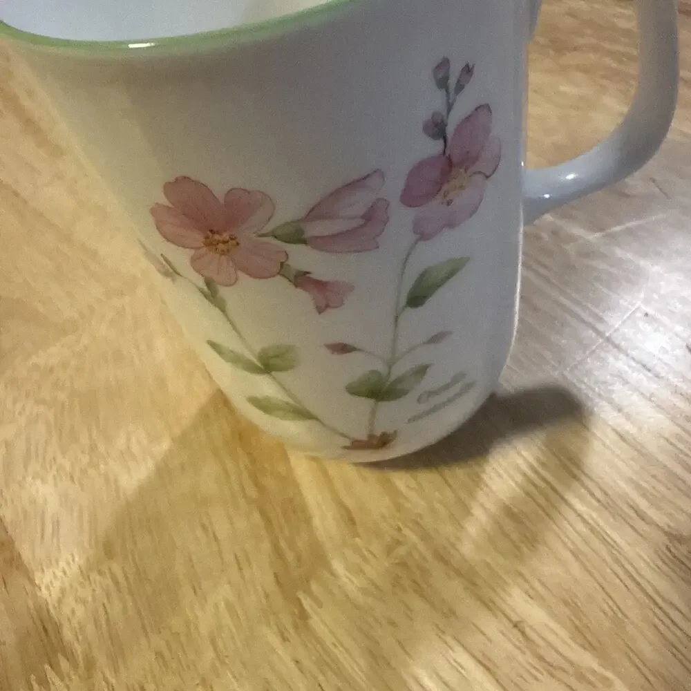 Rose Of England Tea Cup Oxalis Articulata Illustration Bone China Coffee Tea
